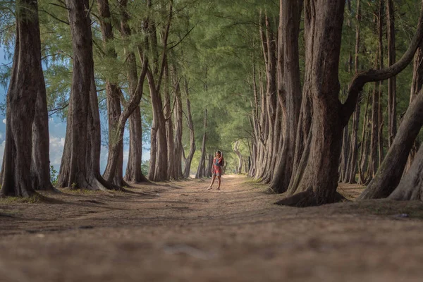 A woman in beautiful dress walking in the pine tree tunnel.Tree Tunnel beside the beach.Large pine trees line up to form a tunnel background.