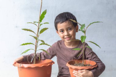 Mutlu bir çocuk Kratom ağacı fidanlarıyla eğlenir..
