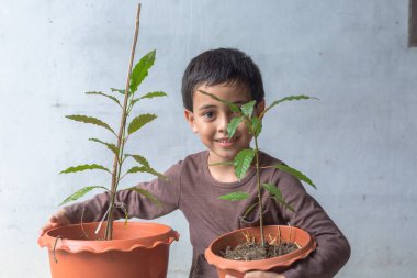 Mutlu bir çocuk Kratom ağacı fidanlarıyla eğlenir..