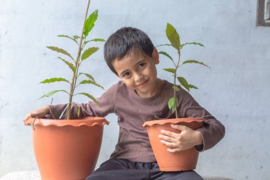 Mutlu bir çocuk Kratom ağacı fidanlarıyla eğlenir..