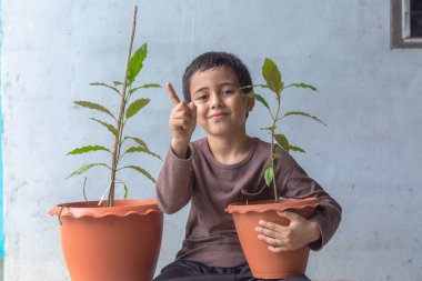 Mutlu bir çocuk Kratom ağacı fidanlarıyla eğlenir..