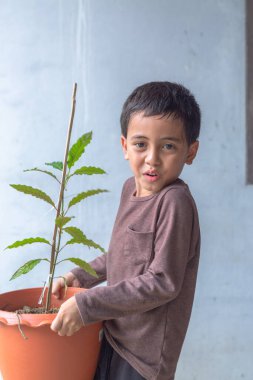 Mutlu bir çocuk Kratom ağacı fidanlarıyla eğlenir..