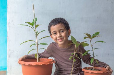 Mutlu bir çocuk Kratom ağacı fidanlarıyla eğlenir..