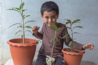Mutlu bir çocuk Kratom ağacı fidanlarıyla eğlenir..