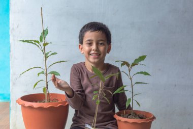 Mutlu bir çocuk Kratom ağacı fidanlarıyla eğlenir..