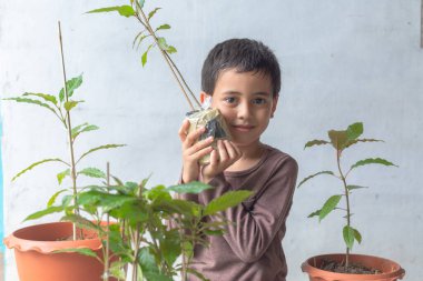 Mutlu bir çocuk Kratom ağacı fidanlarıyla eğlenir..