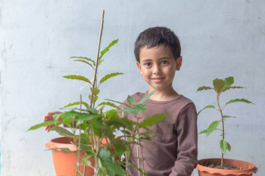 Mutlu bir çocuk Kratom ağacı fidanlarıyla eğlenir..