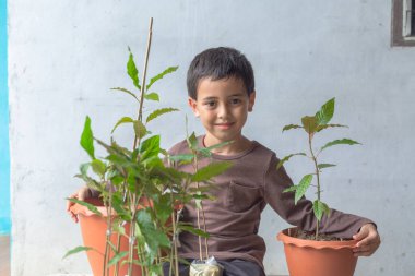 Mutlu bir çocuk Kratom ağacı fidanlarıyla eğlenir..