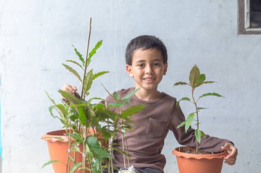 Mutlu bir çocuk Kratom ağacı fidanlarıyla eğlenir..