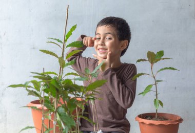 Mutlu bir çocuk Kratom ağaç fideleriyle eğlenir. Sevimli bir çocuk mutlu bir gülümsemeyle bir ağaca sarıldı. Mutlu gülen surat, ağaçları seviyorum. Mutlu çocuğun gülümseyen yüzü rahatla dünya konseptini kurtar.