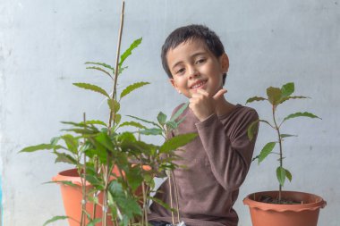 Mutlu bir çocuk Kratom ağaç fideleriyle eğlenir. Sevimli bir çocuk mutlu bir gülümsemeyle bir ağaca sarıldı. Mutlu gülen surat, ağaçları seviyorum. Mutlu çocuğun gülümseyen yüzü rahatla dünya konseptini kurtar.