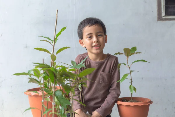 Mutlu bir çocuk Kratom ağaç fideleriyle eğlenir. Sevimli bir çocuk mutlu bir gülümsemeyle bir ağaca sarıldı. Mutlu gülen surat, ağaçları seviyorum. Mutlu çocuğun gülümseyen yüzü rahatla dünya konseptini kurtar.