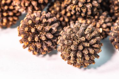 Kurutulmuş Kratom tohumları koyu kahverengi ve siyahtır. Tohumları seçmek tohumların koyu kahverengi ve siyah renkte olmasını sağlamalıdır. İyi misin?