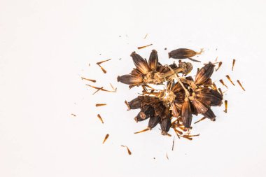 Gaysorn beyaz arkaplanda kratom tohumlarının içinde