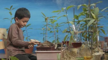 Şirin bir çocuk mavi sahnede Kratom ağaç kaplarına toprak topluyor. Gülen surat, ağaçları mavi ve buharlı arka planda seviyor. Mutlu çocuğun gülümseyen yüzü rahatla dünya konseptini kurtar.
