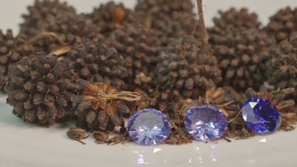 Diamantes Nuevo Cultivo Económico Semillas — Vídeo de stock
