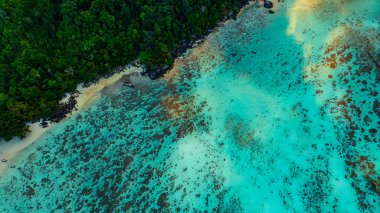 Bereketli yeşil ormanlar, canlı turkuaz mercan resifleri ve derin mavi okyanus sularından oluşan çarpıcı bir kıyı şeridi manzarası. Deniz ve kıyı ekosistemlerinin doğal güzelliği