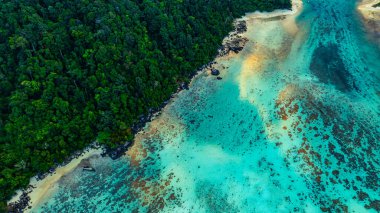 Bereketli yeşil ormanlar, canlı turkuaz mercan resifleri ve derin mavi okyanus sularından oluşan çarpıcı bir kıyı şeridi manzarası. Deniz ve kıyı ekosistemlerinin doğal güzelliği
