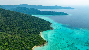 Tropikal kıyı şeridi ve okyanusun havadan görünüşü