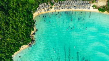 Yüzücüler turkuaz suyun keyfini çıkarıyorlar