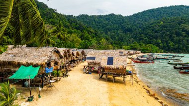 Phang Nga, Tayland-Mart, 20.2025: Yeşillik yeşil ormanlarla çevrili kıyı şeridi boyunca sıralanmış küçük kulübeleriyle tropikal bir sahil Morgan köyünün çarpıcı hava manzarası. Balıkçı tekneleri demirli.