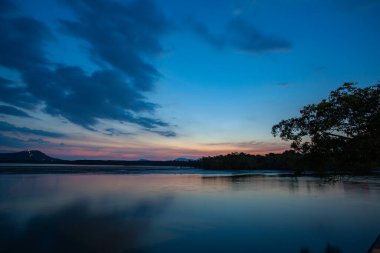 Mangrov ağaçlarının üzerinde gün batımında manzara altın gökyüzü. Muhteşem gün batımı ya da gün doğumu manzarası. Doğanın inanılmaz ışığı. eğimli altın rengi dokusu fantastik gökyüzü dokusu.