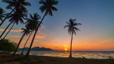 Laem Had Plajı 'ndaki Hindistan Cevizi Ağaçları' ndan Gündoğumunun hızlandırılmış sahnesi. Sıcak ışınlar Hindistan cevizi ağaçlarının sıralarını delip geçer, kumların ve denizin üzerinde titreyerek nefes kesici tropikal bir sabah sahnesinde.
