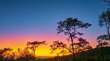 Ufukta, yüksek çam ağaçları ve yemyeşil orman bitkilerinin siluetleriyle çerçevelenmiş sıcak altın ışığın parladığı huzurlu bir günbatımı sahnesi sakin ve doğal bir atmosfer yaratıyor..