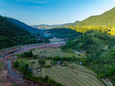 Teraslarda düzenlenmiş canlı pirinç tarlalarının geniş bir görüntüsü, açık mavi gökyüzünün altındaki ormanlık tepelerle çevrili, doğa ve tarım arasındaki uyumu sembolize ediyor. Mavi Gök Altında Pirinç Terası