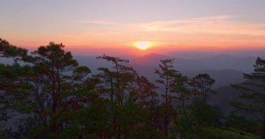 Uzak bir dağ silsilesindeki çam ağaçlarının arasından sabah güneşinin manzaralı manzarası. Sıcak güneş ışınları ve yumuşak bulutlar turizm temaları için mükemmel, rüya gibi bir atmosfer yaratıyor.