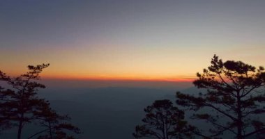 Uzak bir dağ silsilesindeki çam ağaçlarının arasından sabah güneşinin manzaralı manzarası. Sıcak güneş ışınları ve yumuşak bulutlar turizm temaları için mükemmel, rüya gibi bir atmosfer yaratıyor.