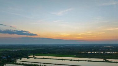Dramatik bir akşam gökyüzünün altında yemyeşil saplı huzurlu bir pirinç tarlası, ağaç zeminine karşı kurulmuş. Dağınık altın gün doğumu huzurlu ve resmedilmiş kırsal bir manzara yaratır..