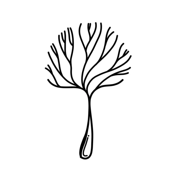 Ikona Wektora Drzewa Doodle Rysunek Szkic Ilustracja Ręcznie Rysowane Kreskówki — Wektor stockowy