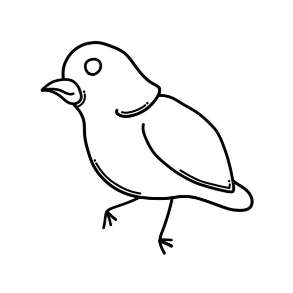 Icône Vectorielle Bird Doodle Dessin Dessin Illustration Dessiné Main Ligne — Image vectorielle