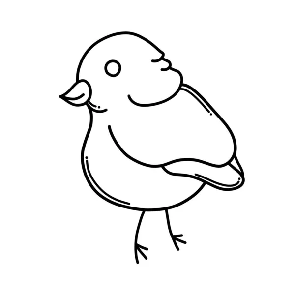 Bird Doodle Vector Icono Dibujo Dibujo Ilustración Dibujado Mano Línea — Vector de stock