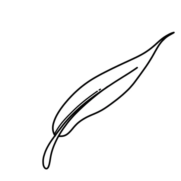 Blatt Doodle Vektor Symbol Zeichnung Skizze Illustration Handgezeichnete Cartoon Linie — Stockvektor