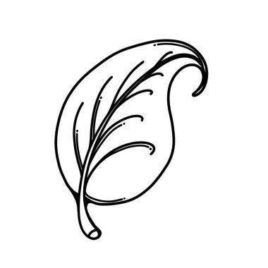 Yaprak şekillendirme vektör simgesi. Çizim çizimi çizimi el çizimi çizgi film çizimi.