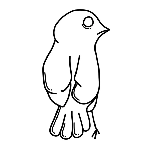 Bird Doodle Wektor Ikona Rysunek Szkic Ilustracja Ręcznie Rysowane Kreskówki — Wektor stockowy