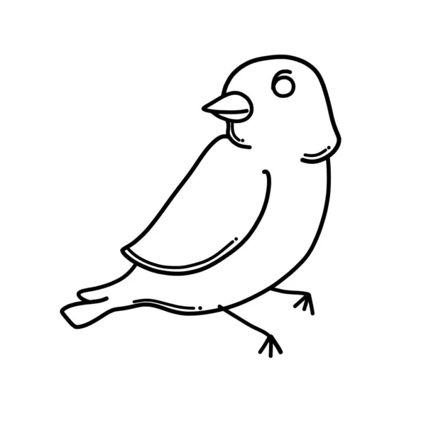 Bird Doodle Vector Icono Dibujo Dibujo Ilustración Dibujado Mano Línea — Vector de stock