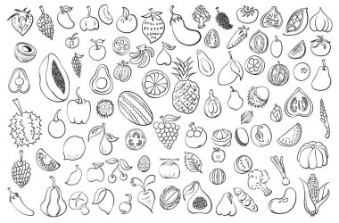 Meyve ve sebze Doodle vektörü ayarlandı. Çizim çizimi el çizimi çizimi çizimi.