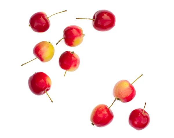 izole kırmızı elmalar