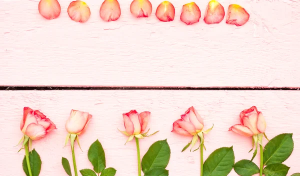 Parlak gül pembe ahşap arka plan üzerinde