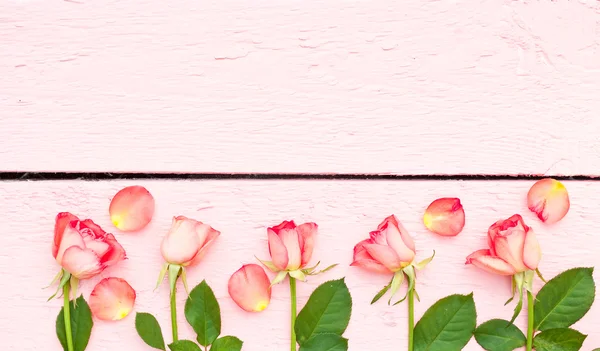 Parlak gül pembe ahşap arka plan üzerinde