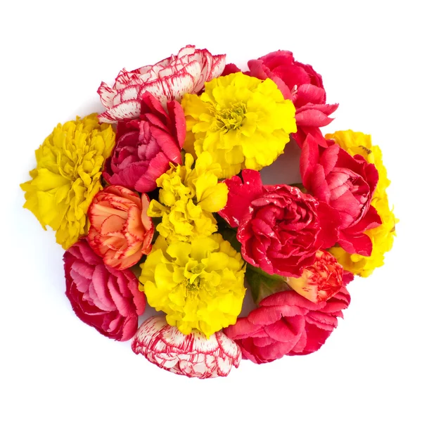 İzole çayır çiçekler