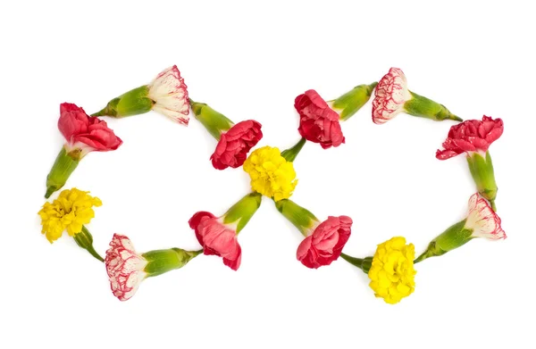 Çayır çiçek izole Infinity