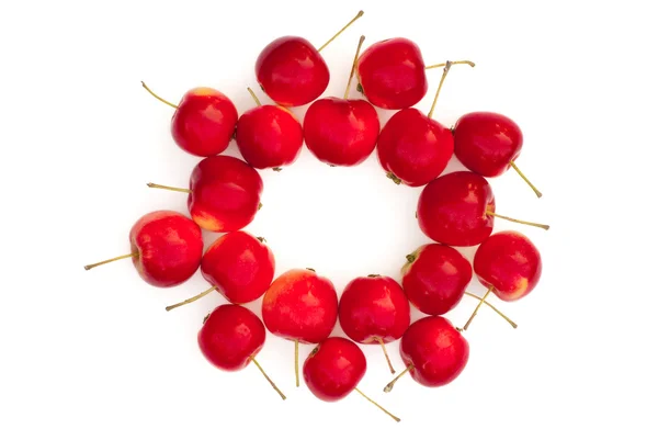 Isolerade cirkel av röda äpplen — Stockfoto