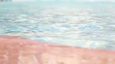 Su havzasında çini ile kıyıya yakın. Su yüzeyine odaklanmak.