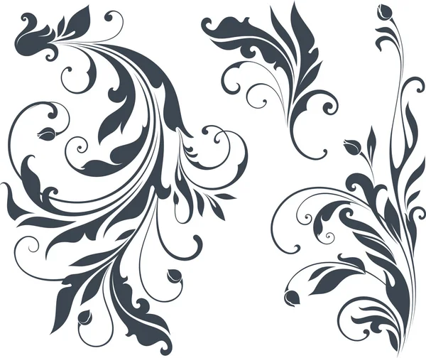 Vector Scroll Set — Stock Vector