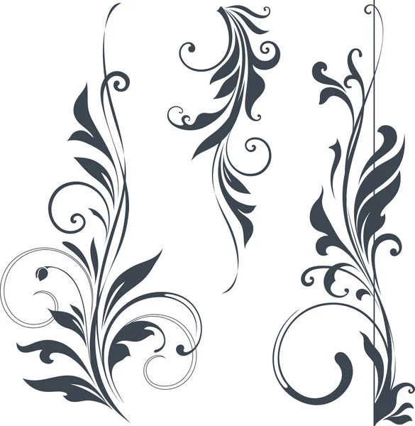 Vector Scroll Set — Stock Vector