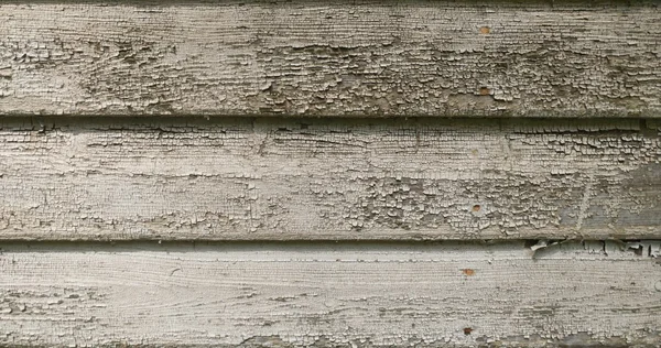 Wooden wall texture, wood backround — Stock Photo, Image